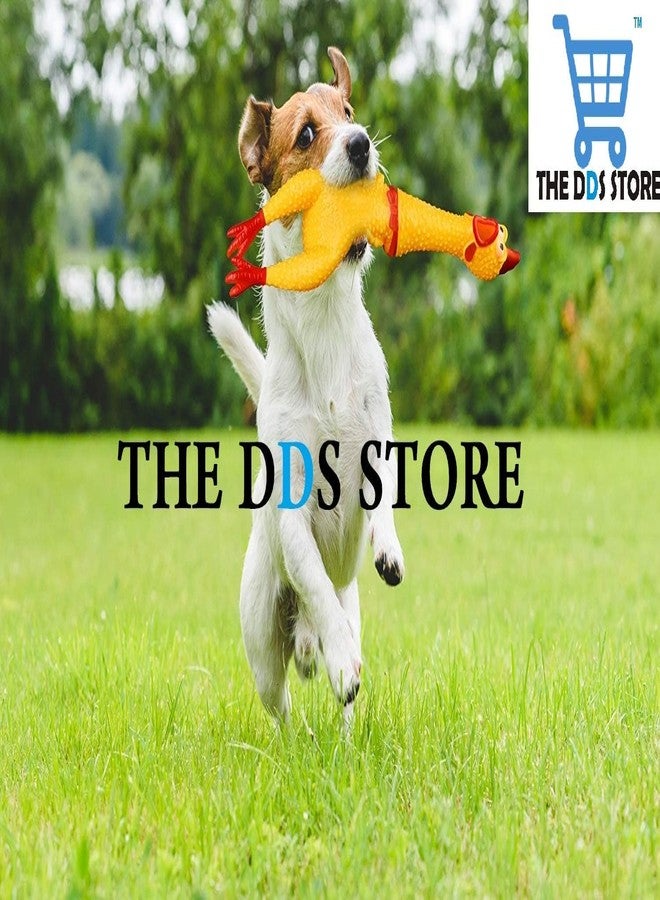 THE DDS STORE لعبة دجاجة مطاطية صاخبة مقاس 5 بوصات من متجر DDS للأطفال والحيوانات الأليفة - لعبة مضغ دجاجة صاخبة وممتعة للغاية للكلاب - فكرة هدية مبتكرة ومضحكة تصدر صوتاً عند الضغط عليها - (قد يختلف اللون) - Image 5